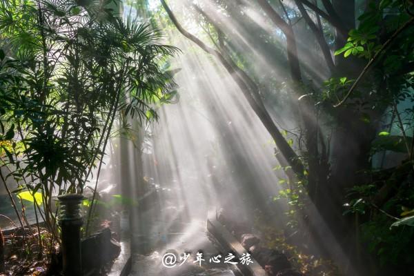 率土之滨
