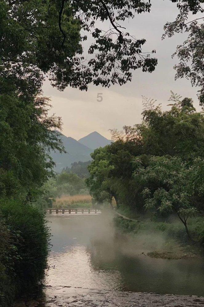 探寻天涯问答交流平台姑娘你学会了吗?