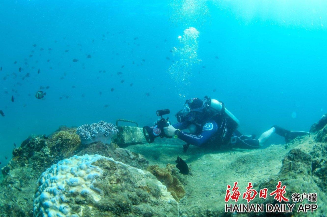 组装机械恐龙3