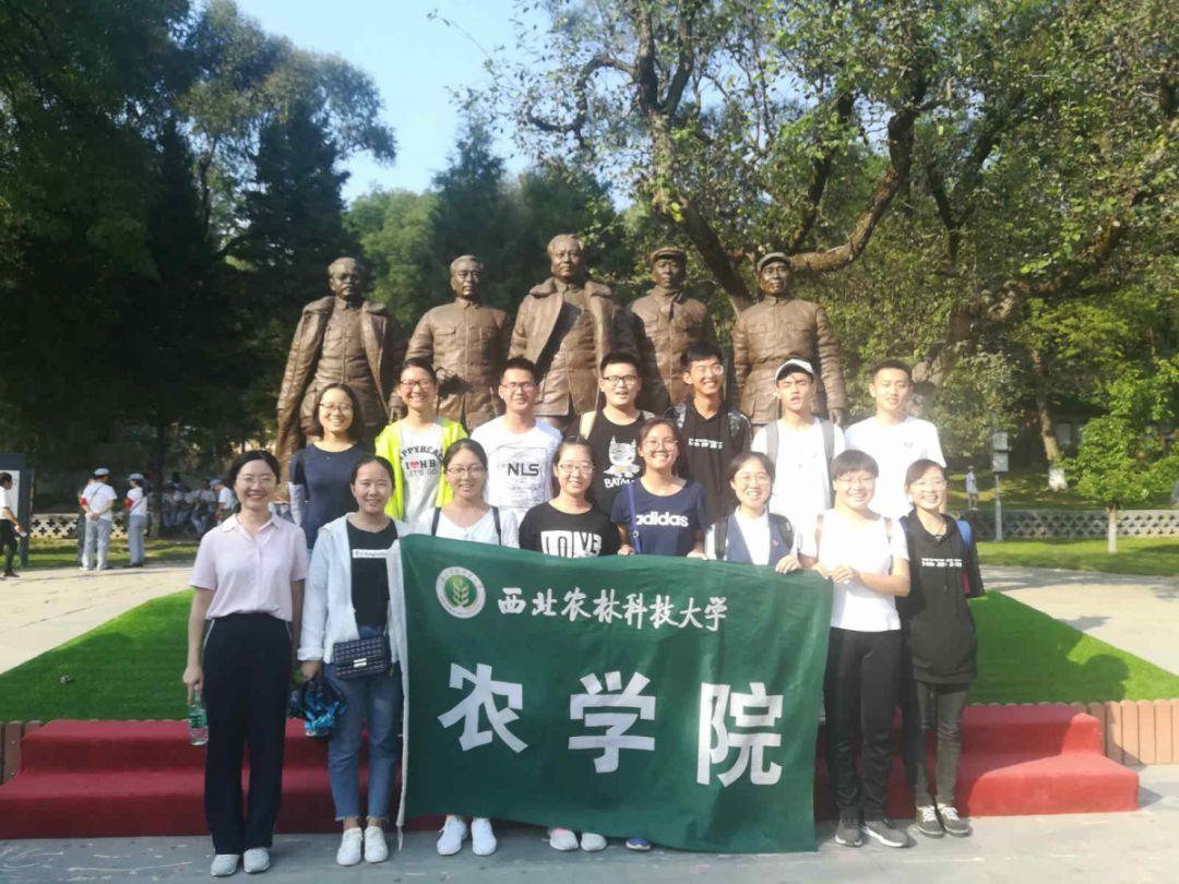 我修的可能是假仙