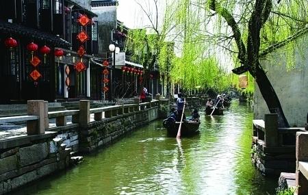 探索一个月的小猫八小时不吃东西会饿坏吗?|拥有专业知识星球平台